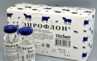 Инструкция по применению препарата «Энрофлон» для птиц