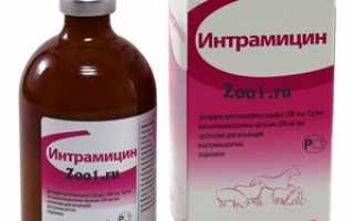 Основные антибиотики широкого спектра действия для кошек