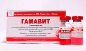 Гамавит: инструкция по применению для кошек и собак