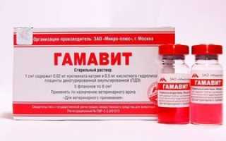 Гамавит: инструкция по применению для кошек и собак
