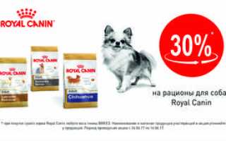 Корм Роял Канин для собак: состав, линейки, отзывы