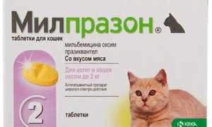 Милпразон: инструкция по применению для кошек и собак