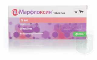 Применения таблеток Марфлоксина для собак и кошек