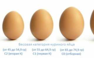 Вес куриного яйца, сколько оно весит грамм без скорлупы