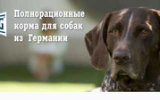 Счастливая собака или корм «Хэппи Дог»: описание