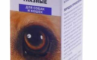 Ципровет — эффективные капли при заболеваниях глаз у кошек и собак