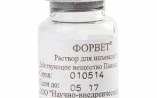 Форвет — инструкция по применению для лечения кошек