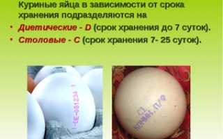 Срок годности куриных яиц и условия хранения