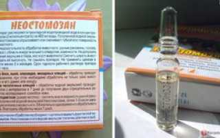 Инструкция по применению препарата Неостомозан в ветеринарии