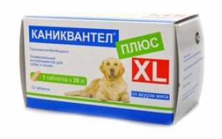 Каниквантел Плюс XL для собак инструкция