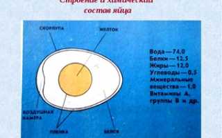Химический состав куриного яйца и его свойства
