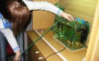Чистка аквариума в домашних условиях