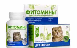 Витамины для кошек от выпадения шерсти
