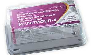 Мультифел 4 инструкция для кошек: вакцина и её применение