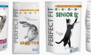 Перфект фит: состав и преимущества perfect fit