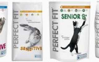 Перфект фит: состав и преимущества perfect fit