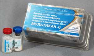 Мультикан 6: инструкция по применению препарата для собак