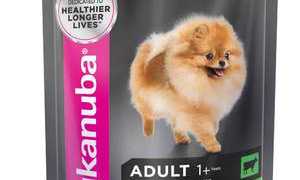 Корм для кошек Eukanuba и его основные характеристики