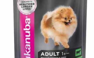 Корм для кошек Eukanuba и его основные характеристики