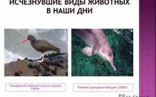 Исчезающие и вымершие виды животных