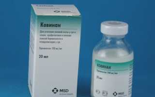 Ковинан: инструкция по применению для собак и кошек