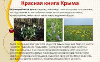 Красная книга Крыма: редкие животные и растения