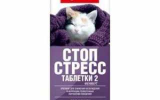 Препарат «Стоп стресс» для собак – когда он нужен?