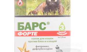 Капли для кошек от блох: основные виды и описание