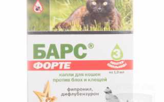 Капли для кошек от блох: основные виды и описание
