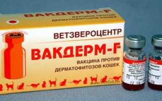 Инструкция по применению Вакдерм для кошек и собак