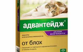 Адвантейдж: инструкция по применению для кошек