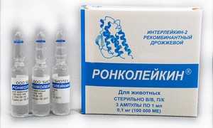 Ронколейкин для кошек и для собак: инструкция по применению