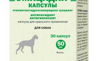 Эмицидин для собак: инструкция по применению