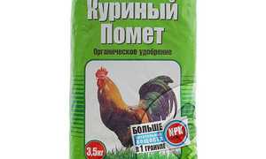 Как использовать куриный помет в качестве удобрения?