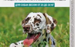 Капли Барс для кошек: описание и инструкция по применению