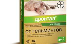 Дронтал для кошек и собак: инструкция по применению