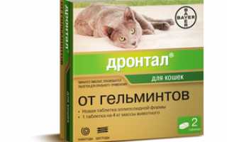 Дронтал для кошек и собак: инструкция по применению
