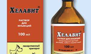 Хелавит С для собак: инструкция по применению, состав и отзывы