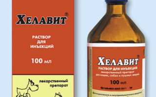 Хелавит С для собак: инструкция по применению, состав и отзывы