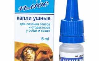 Ушные капли для собак от отита
