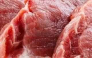 Таблица выхода в среднем чистой массы мяса говядины от живого веса