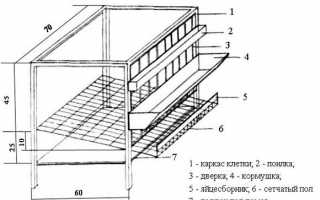 Клетки для кур-несушек размеры чертежи