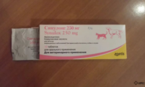 Синулокс для кошек и собак: инструкция по применению