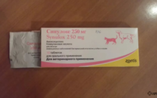 Синулокс для кошек и собак: инструкция по применению