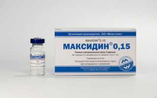 Максидин для кошек инструкция по применению