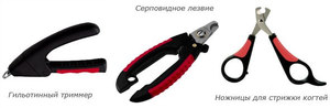 Чем можно обрезать когти собаке