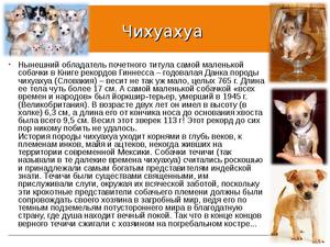 Чихуахуа самая маленькая порода 