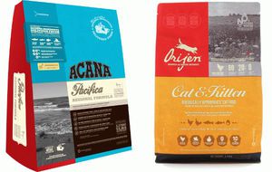 Как выбрать корм для кошки Какие корма лучше