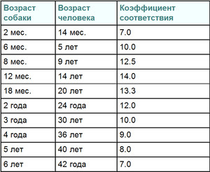 Определение возраста собаки