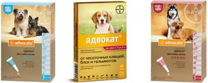 Применение капель